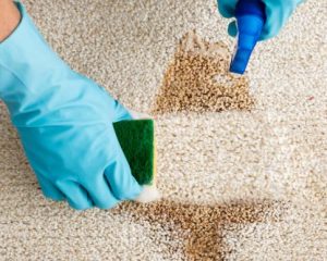 شركة تنظيف سجاد بالرياض