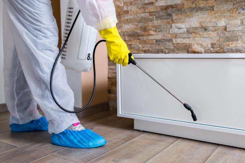 شركة رش الحشرات في الرياض