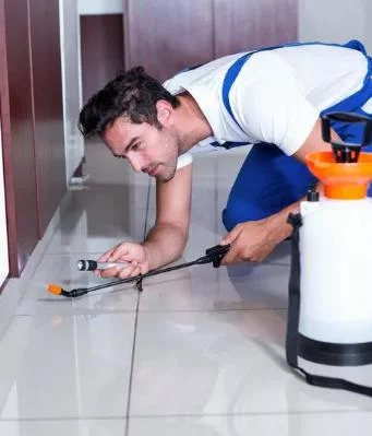 شركة مكافحة حشرات بجدة , شركة رش حشرات بجدة , شركات مكافحة الحشرات في جدة , شركة مكافحة النمل الابيض بجدة , شركة مكافحة الباعوض بجدة , شركة رش مبيدات بجدة , ارخص شركة مكافحة حشرات بجدة