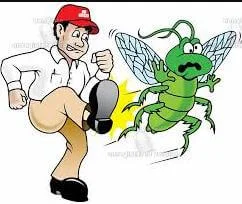 شركة مكافحة حشرات بالطائف