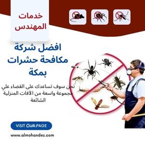 شركة مكافحة حشرات بمكة المكرمة