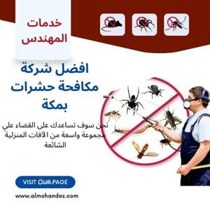 شركة مكافحة حشرات بمكة المكرمة