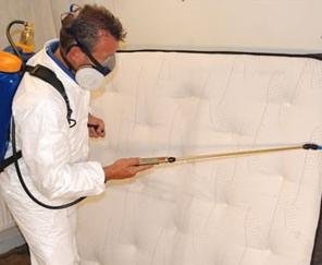 شركة مكافحة البق بمكة