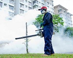 شركة رش حشرات بالطائف