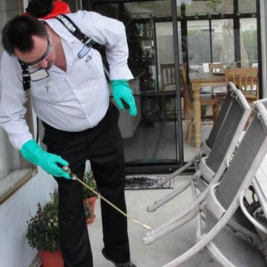 شركة رش حشرات بالمدينة