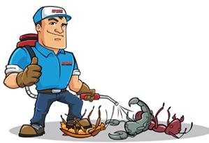 شركة رش مبيد حشرات بالمدينة