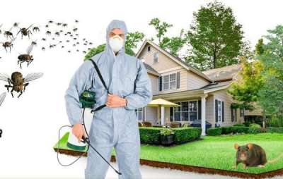 شركة رش حشرات بجدة