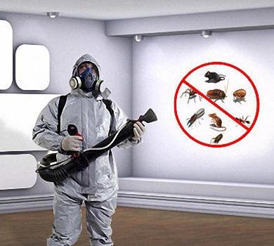 شركة رش حشرات بجدة