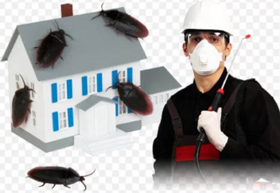 شركة رش مبيدات بجدة