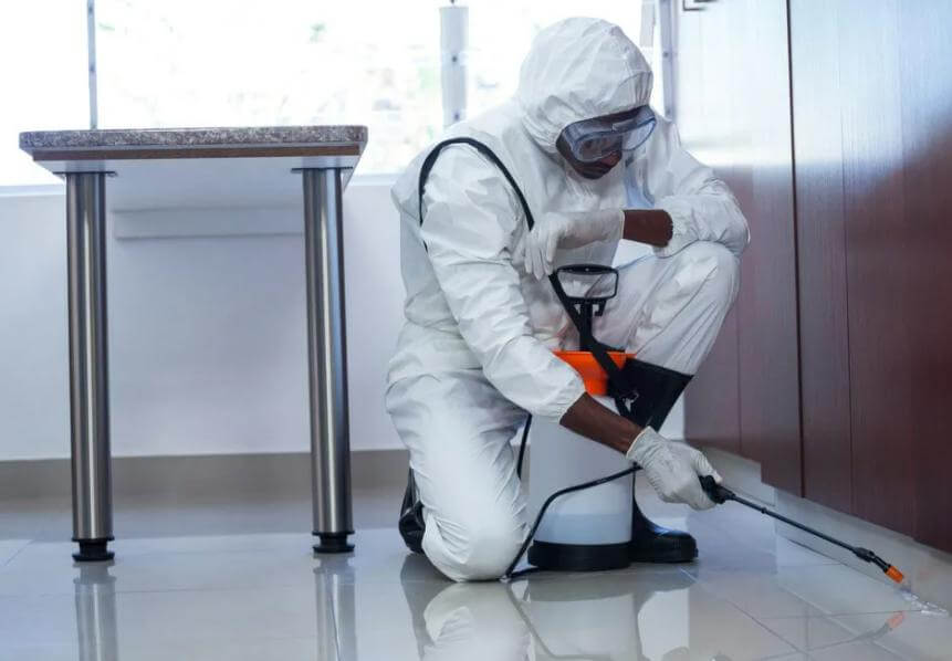 افضل شركة رش مبيدات بالرياض