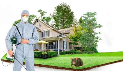 شركة رش مبيدات بمكة