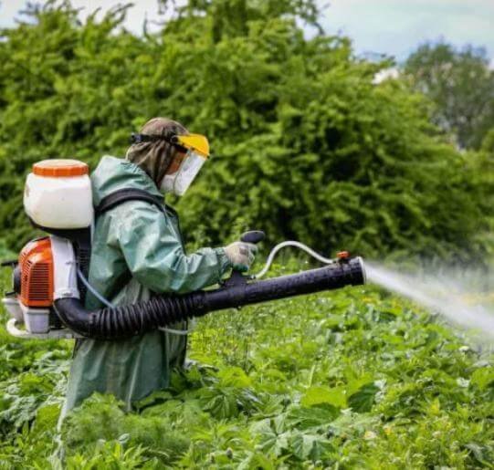 شركة رش مبيدات بالرياض , شركة مكافحة حشرات بالرياض , شركة مكافحة النمل الابيض بالرياض