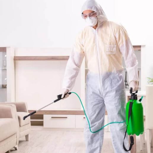 شركه رش مبيدات بالرياض