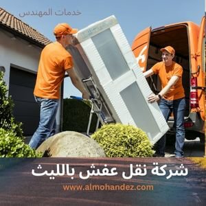 شركة نقل عفش بالليث
